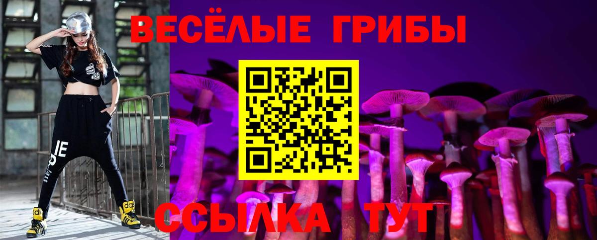 Псилоцибиновые грибы GOLDEN TEACHER Балашиха